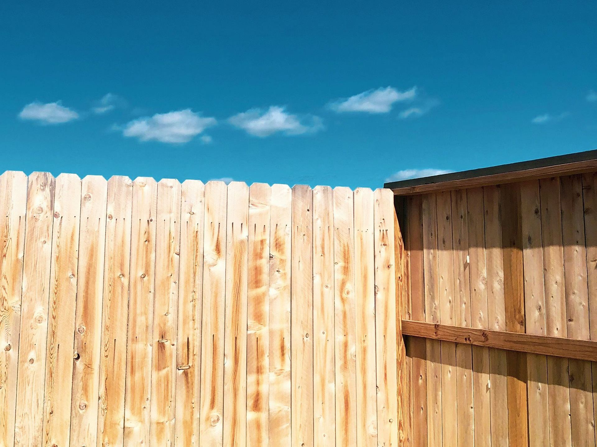 brown wooden fence under blue sky during daytime